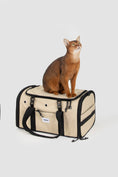Load image into Gallery viewer, AirPaw Cabin Carrier
