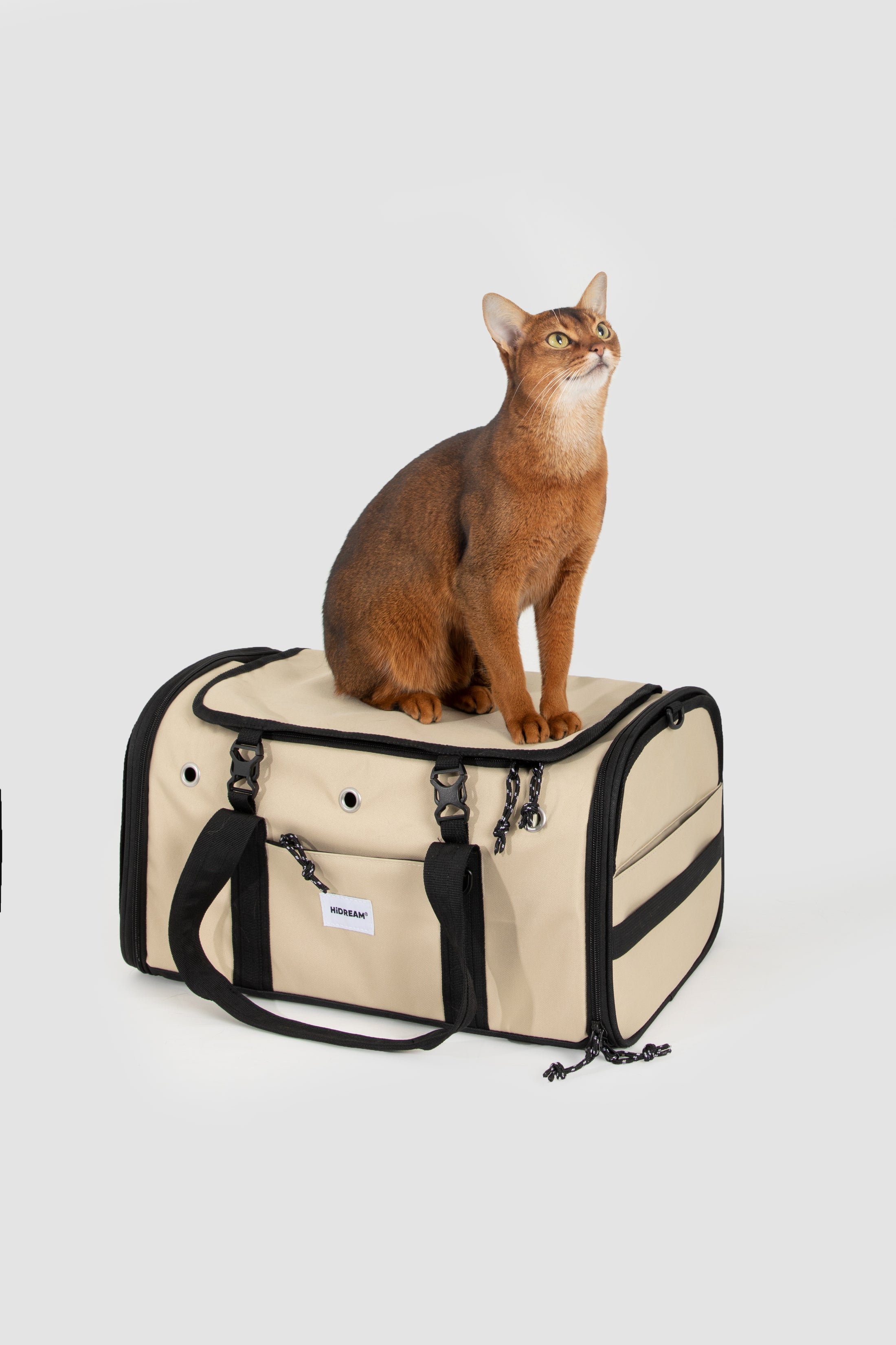 AirPaw Cabin Carrier