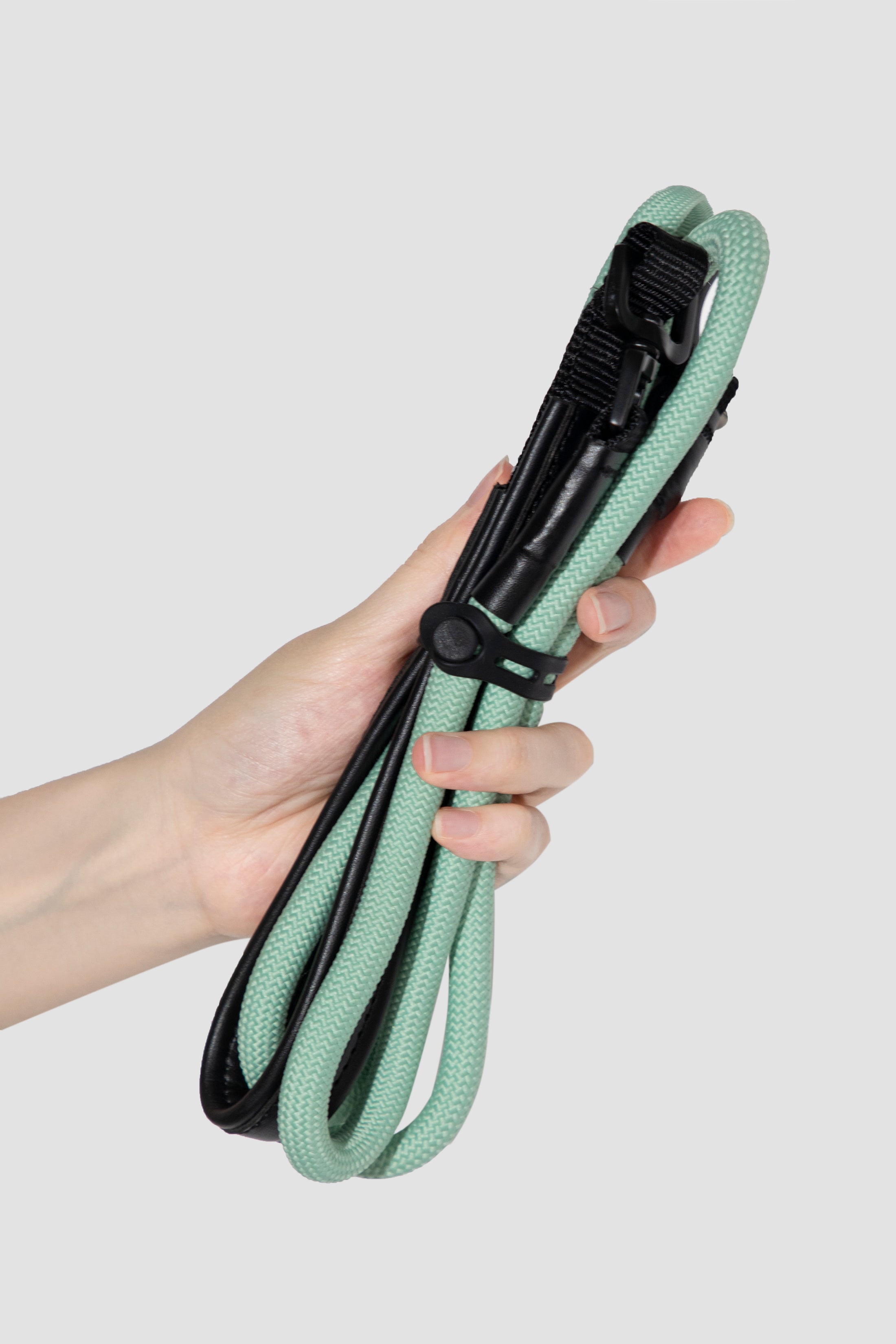 SteadyStride Leather Training Lead