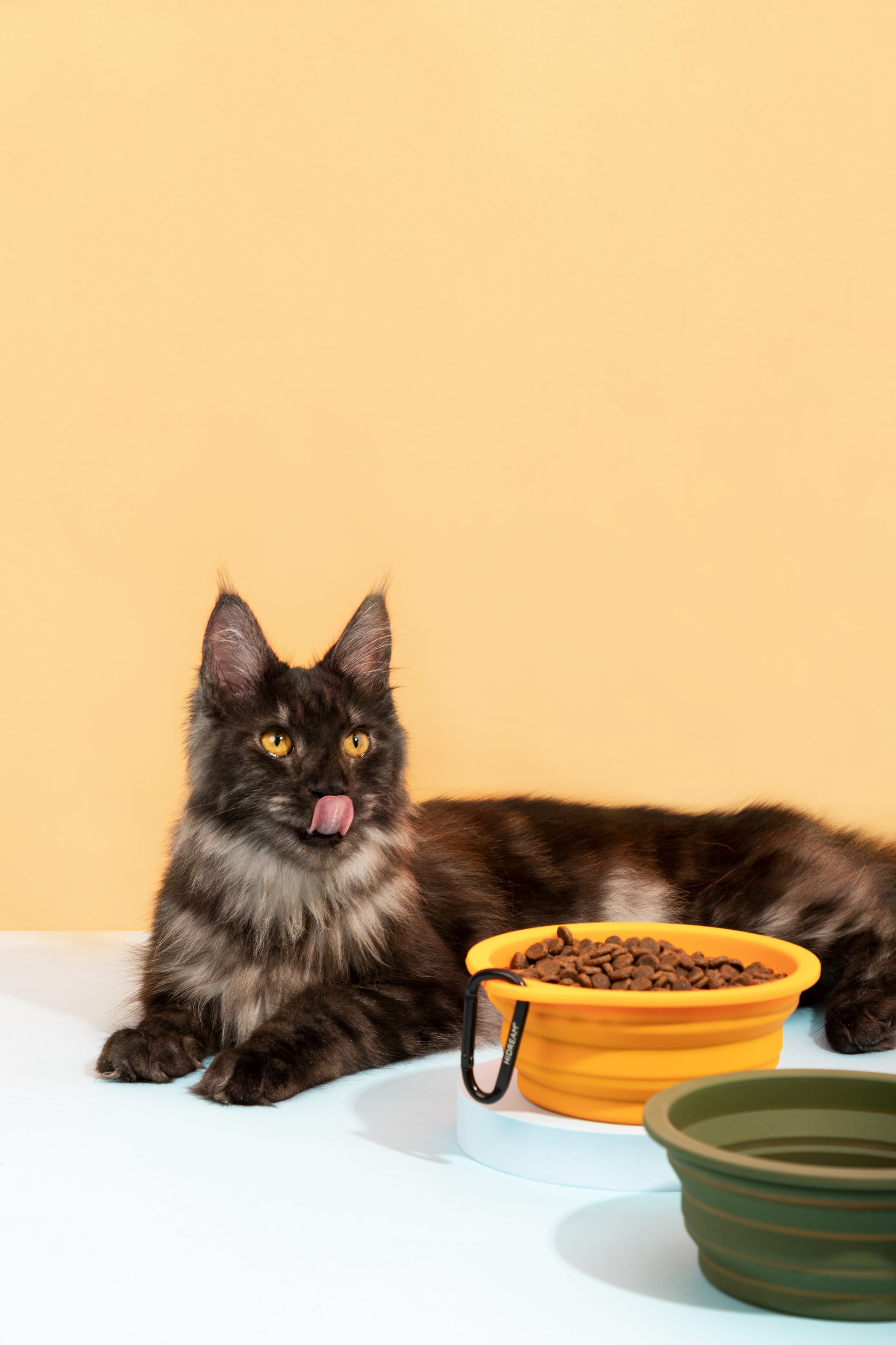 Pawcket Collapsible Travel Bowl