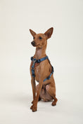 Load image into Gallery viewer, Bobo Harness
