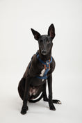 Load image into Gallery viewer, Bobo Harness
