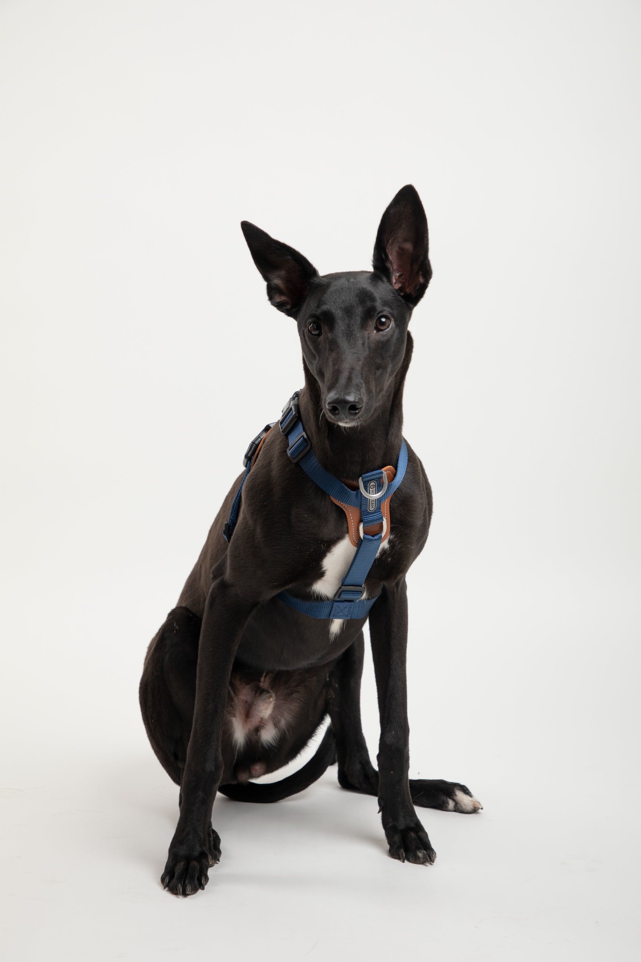 Bobo Harness