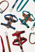 Load image into Gallery viewer, Bobo Harness
