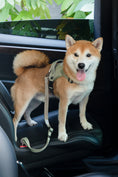 Load image into Gallery viewer, Shock-Absorbing Car Seat Belt
