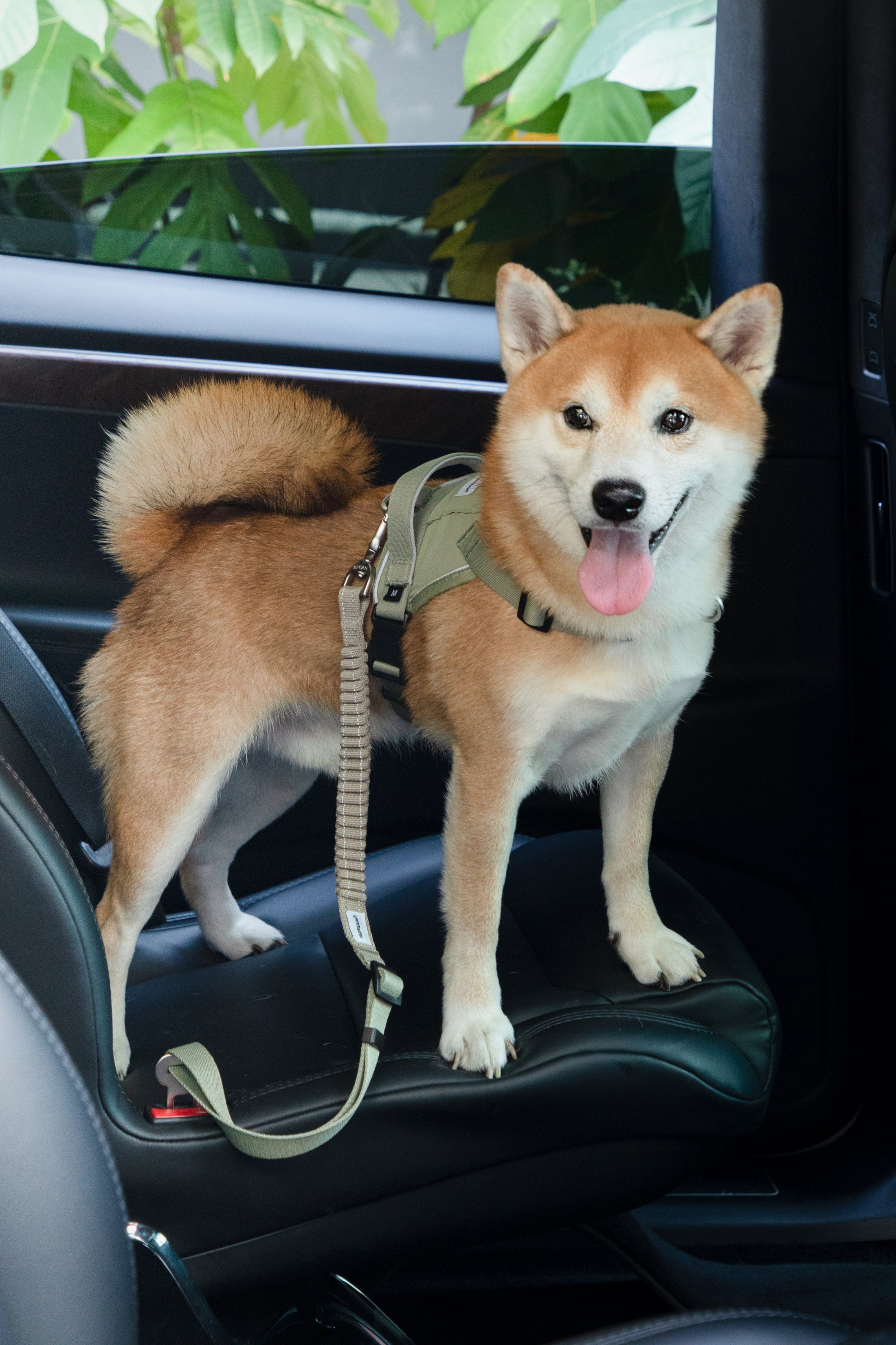 Shock-Absorbing Car Seat Belt