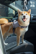 Load image into Gallery viewer, Shock-Absorbing Car Seat Belt
