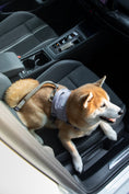 Load image into Gallery viewer, Shock-Absorbing Car Seat Belt
