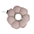 Load image into Gallery viewer, FloraCone - Elizabethan collar
