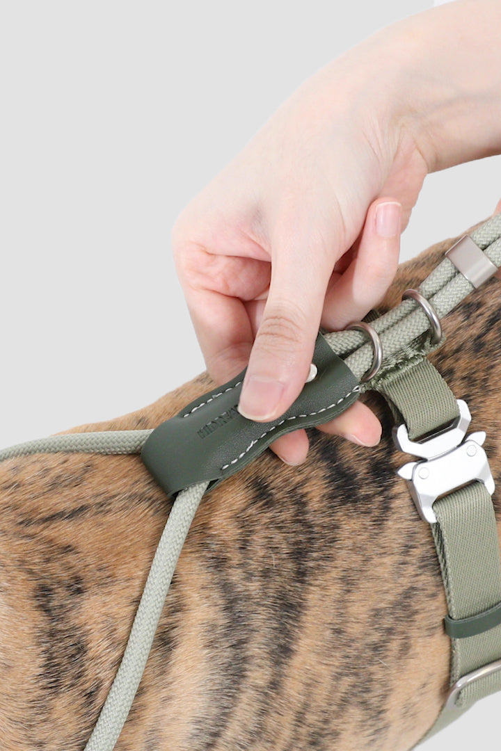 Leather Round Rope Dog Harness Set