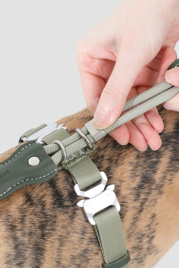 Leather Round Rope Dog Harness Set