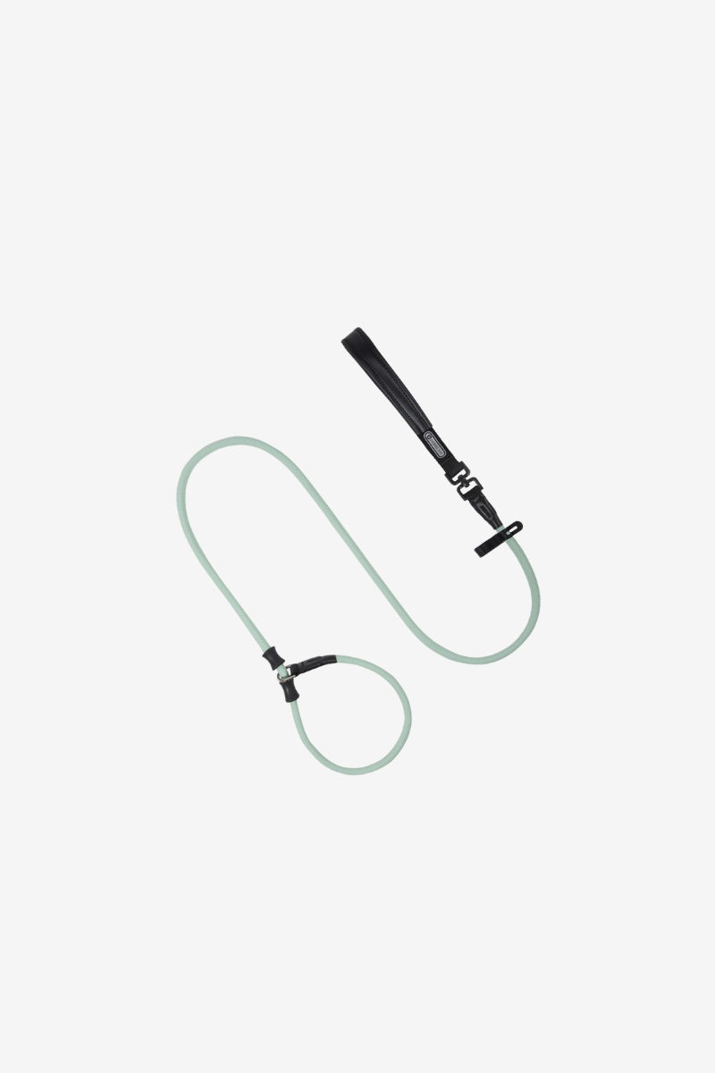SteadyStride Leather Training Lead
