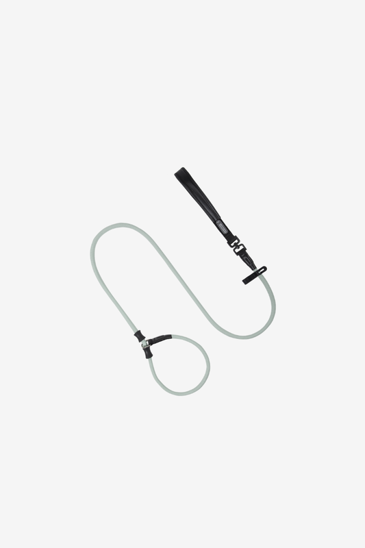 SteadyStride Leather Training Lead