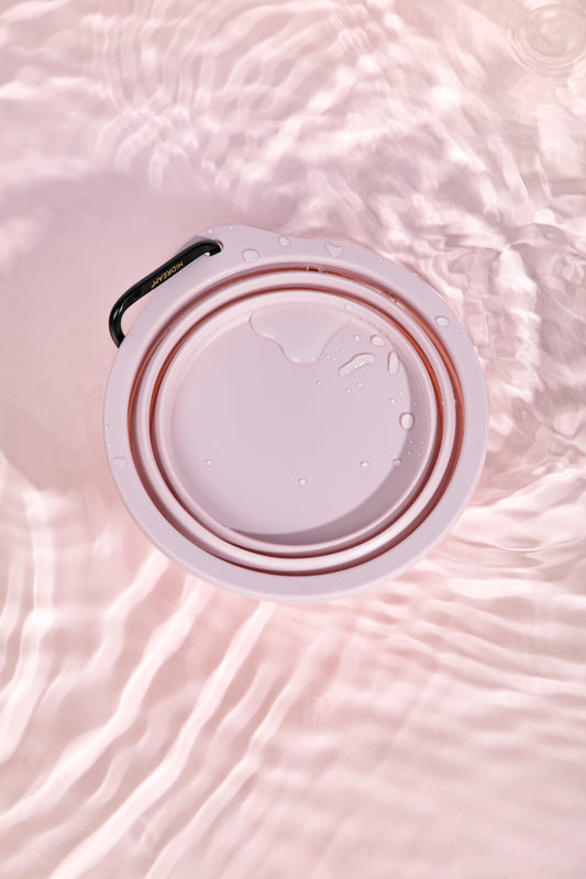 Pawcket Collapsible Travel Bowl